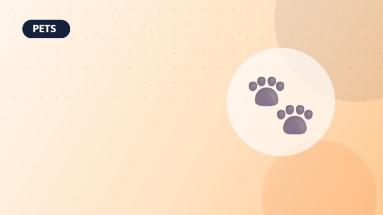 The 5 Toughest Dog Toys for Heavy Chewers (2026 Guide)
